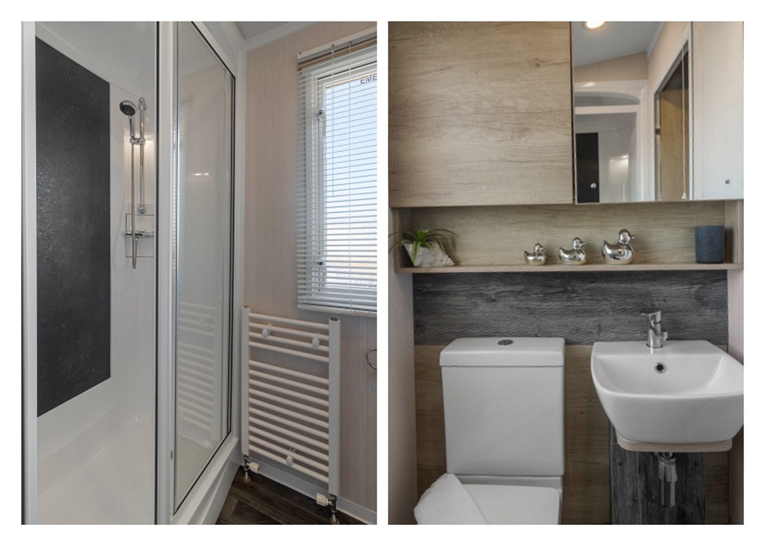 Shower room and second bathroom