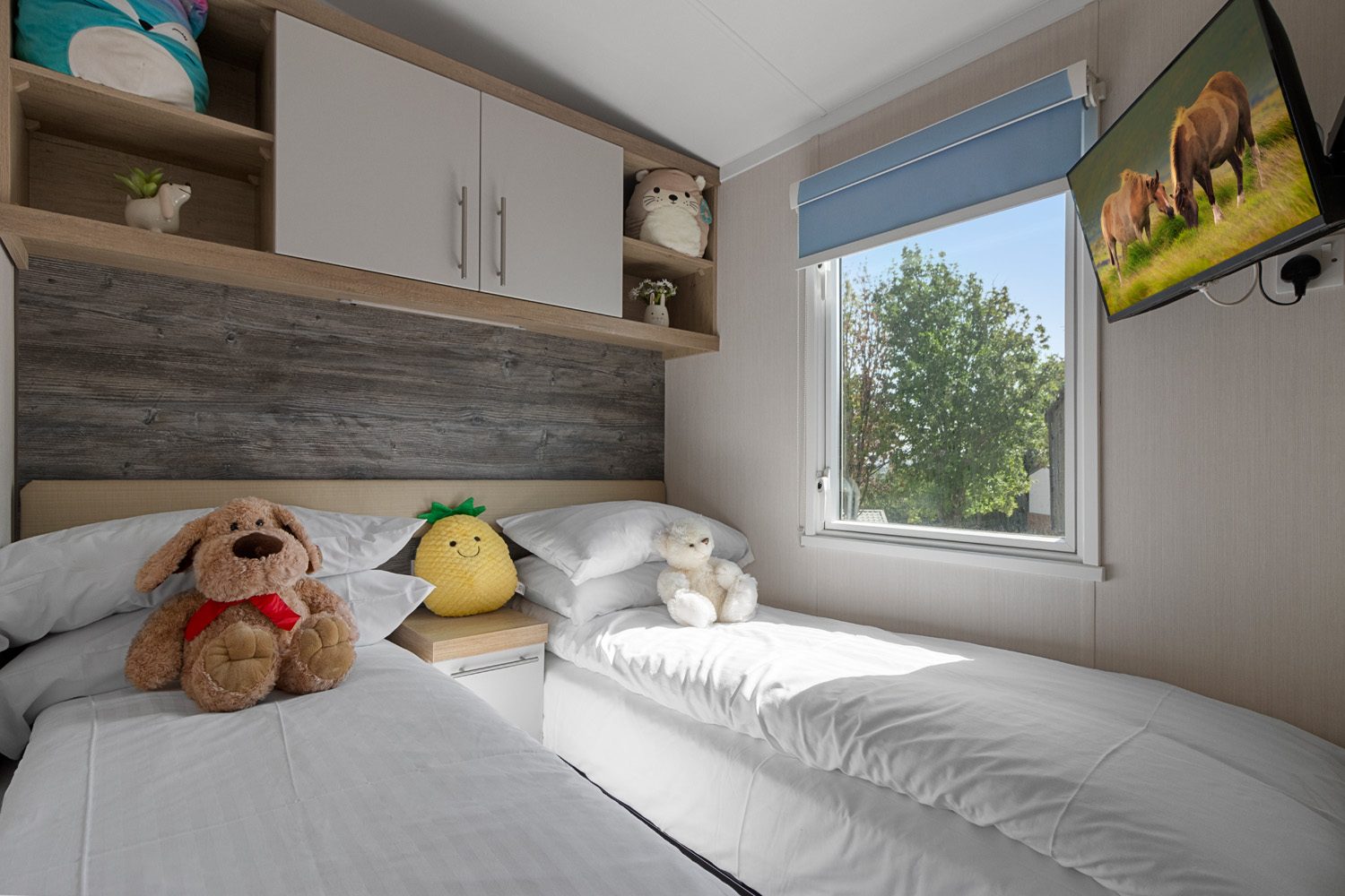 Second bedroom with twin beds