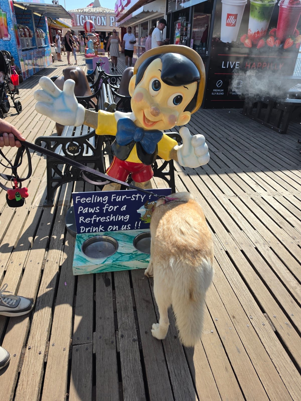 Dog beside a water bowl station on Paignton Pier