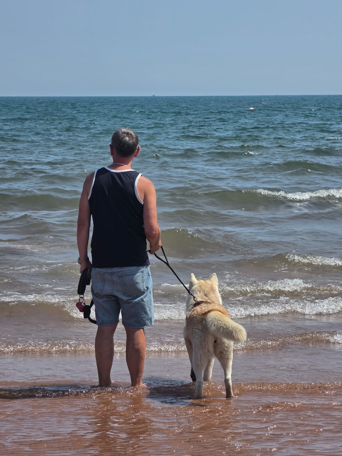 Guest and husky wading into the sea