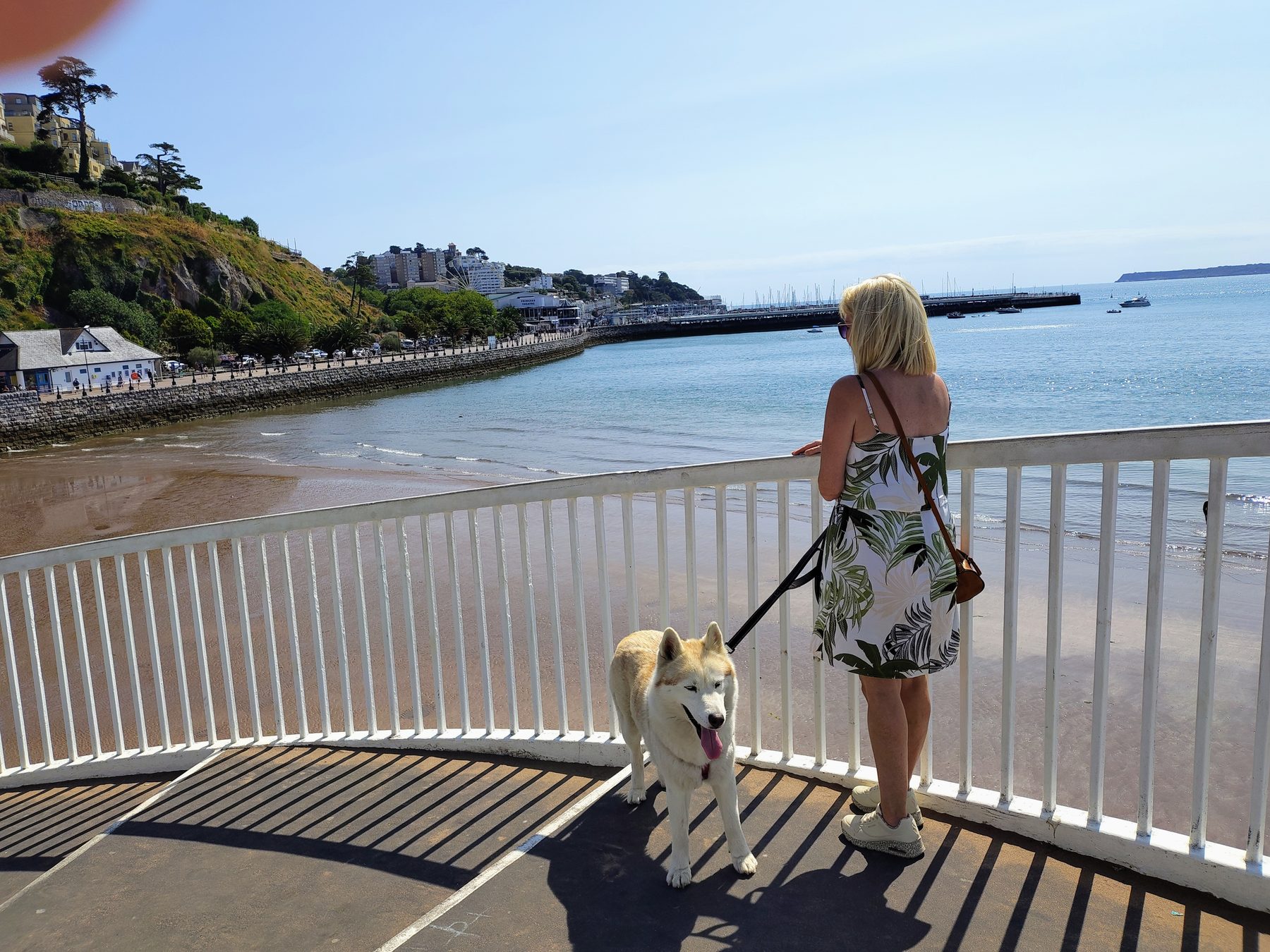 View over Torquay beach and harbour from a railing