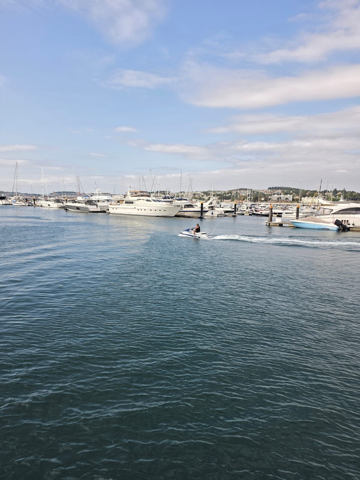 Boats moored in the marina