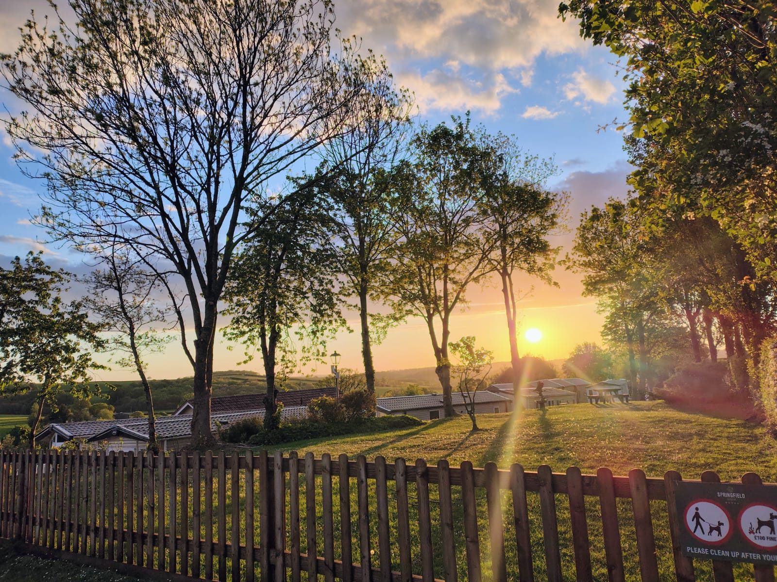 Sunset over the park seen from beside the dog exercise field