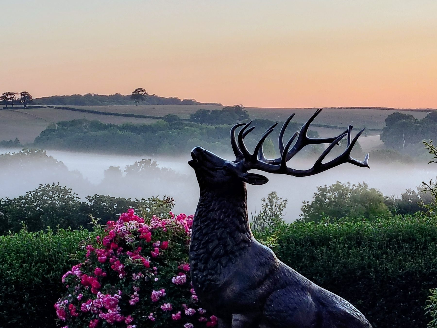 Stag statue overlooking misty fields at sunrise