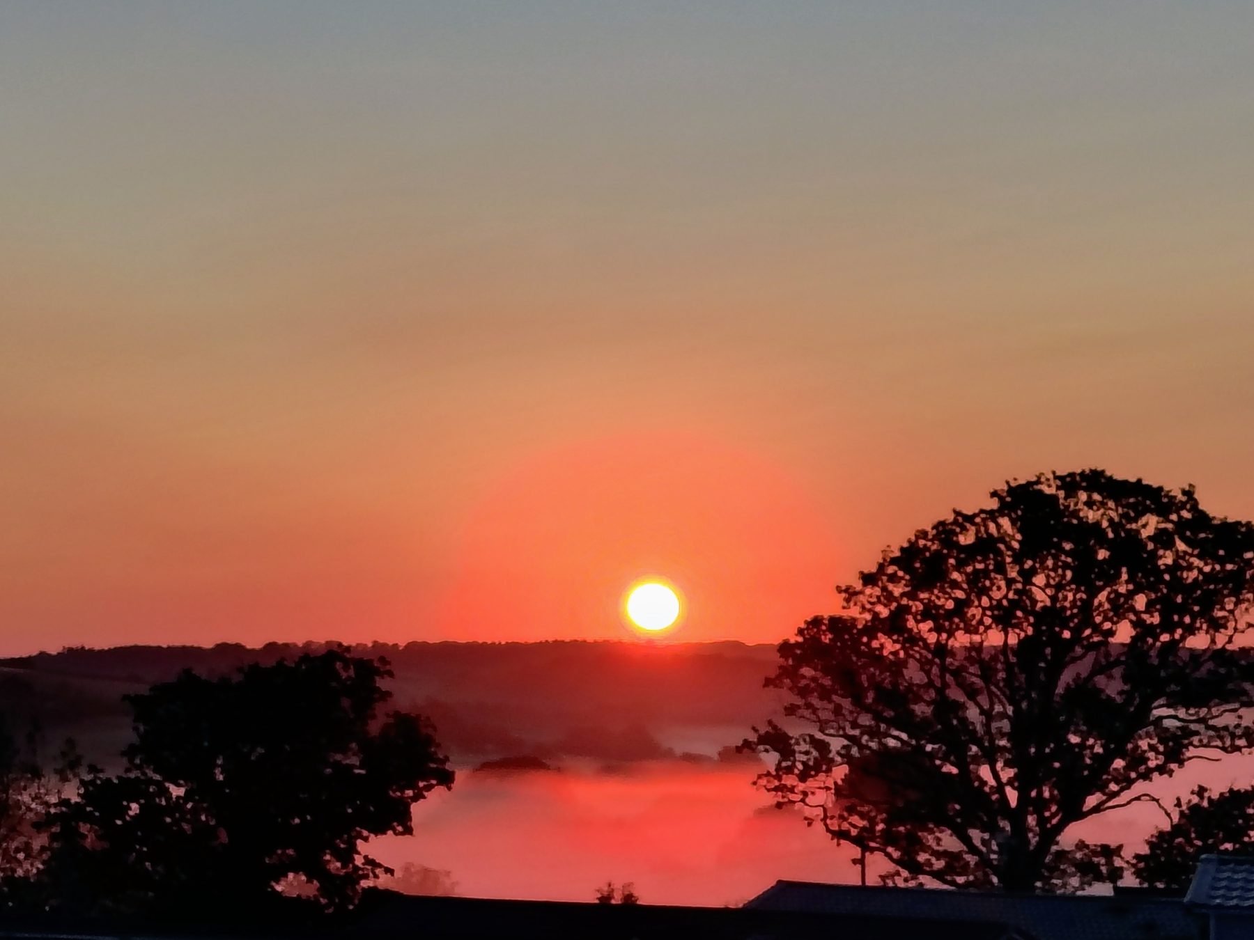 Sunrise over misty fields near the park